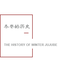 冬枣历史