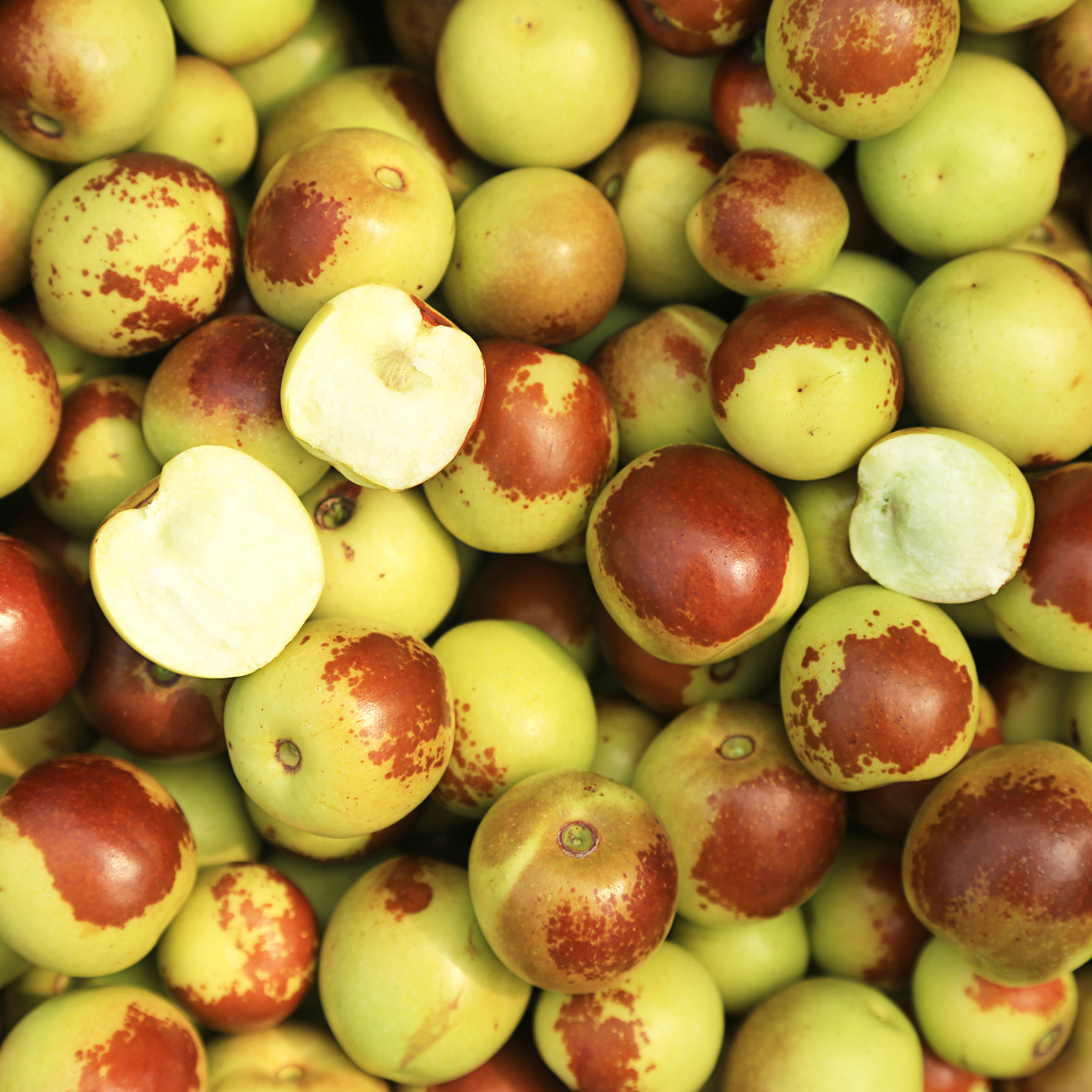 孔店鲜冬枣（预售）