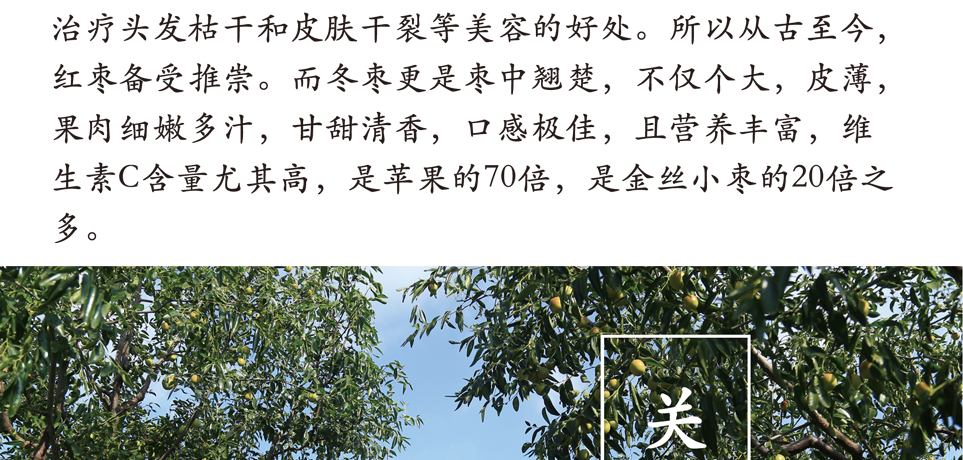丘礼果详细_06.png